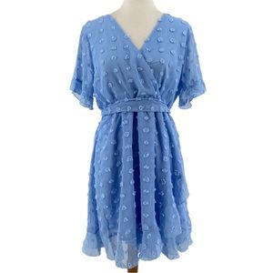 Plushe Light Blue Swiss Dot Short Sleeve Mini Dress